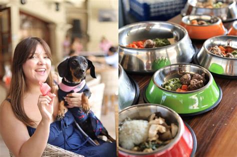 The 5 Best Pet Friendly Hotels in Clarion 2023 (with Prices .